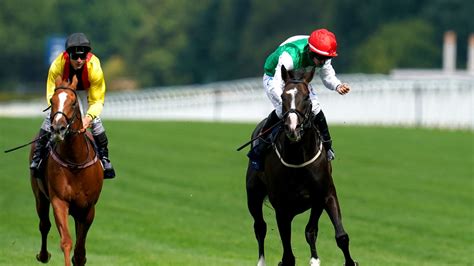 king george tips|King George Tips: Kate Tracey's runner.